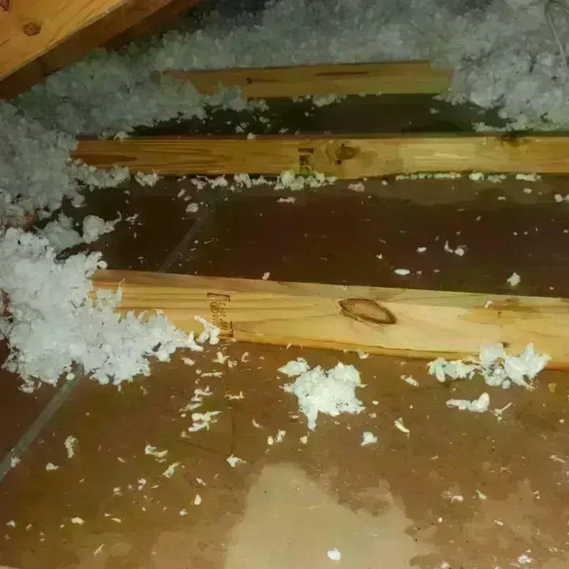 Attic Water Damage in Wolfe City, TX