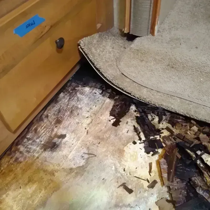 Wood Floor Water Damage in Wolfe City, TX